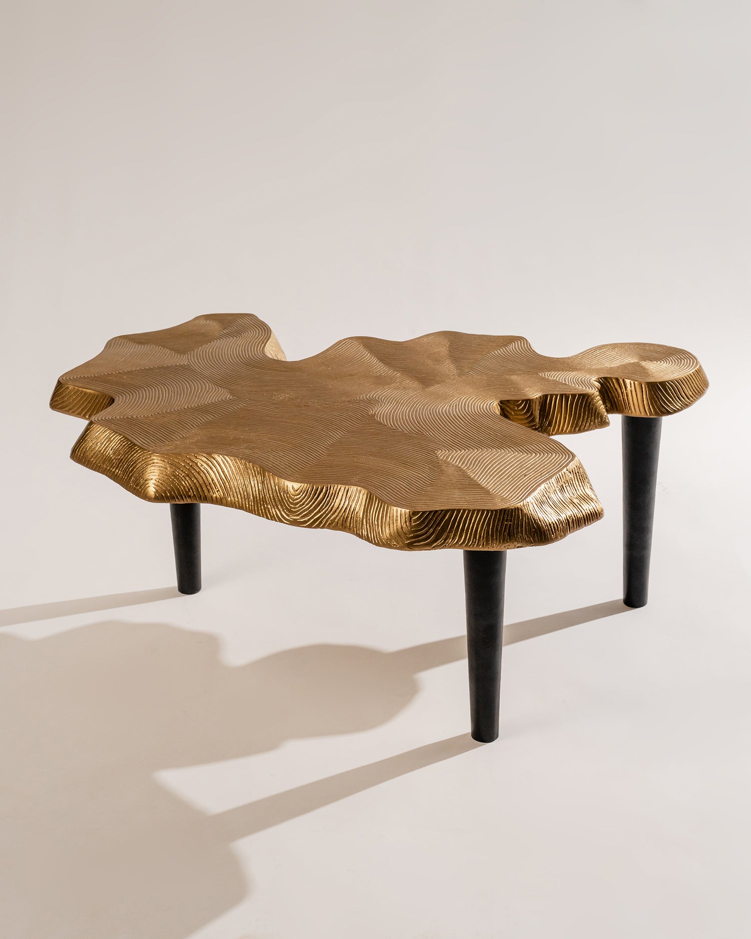 Amorphous Coffee Table - Set of 2