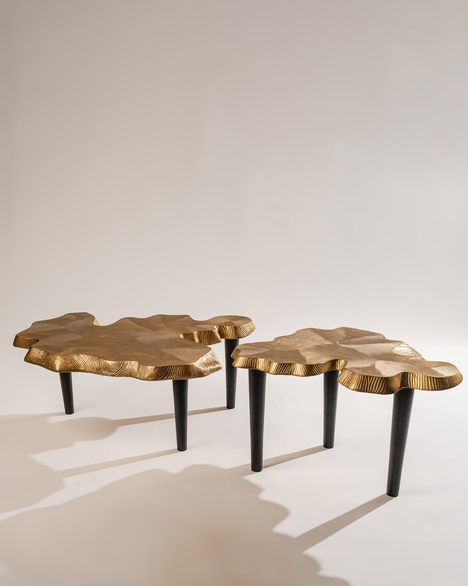 Amorphous Coffee Table - Set of 2