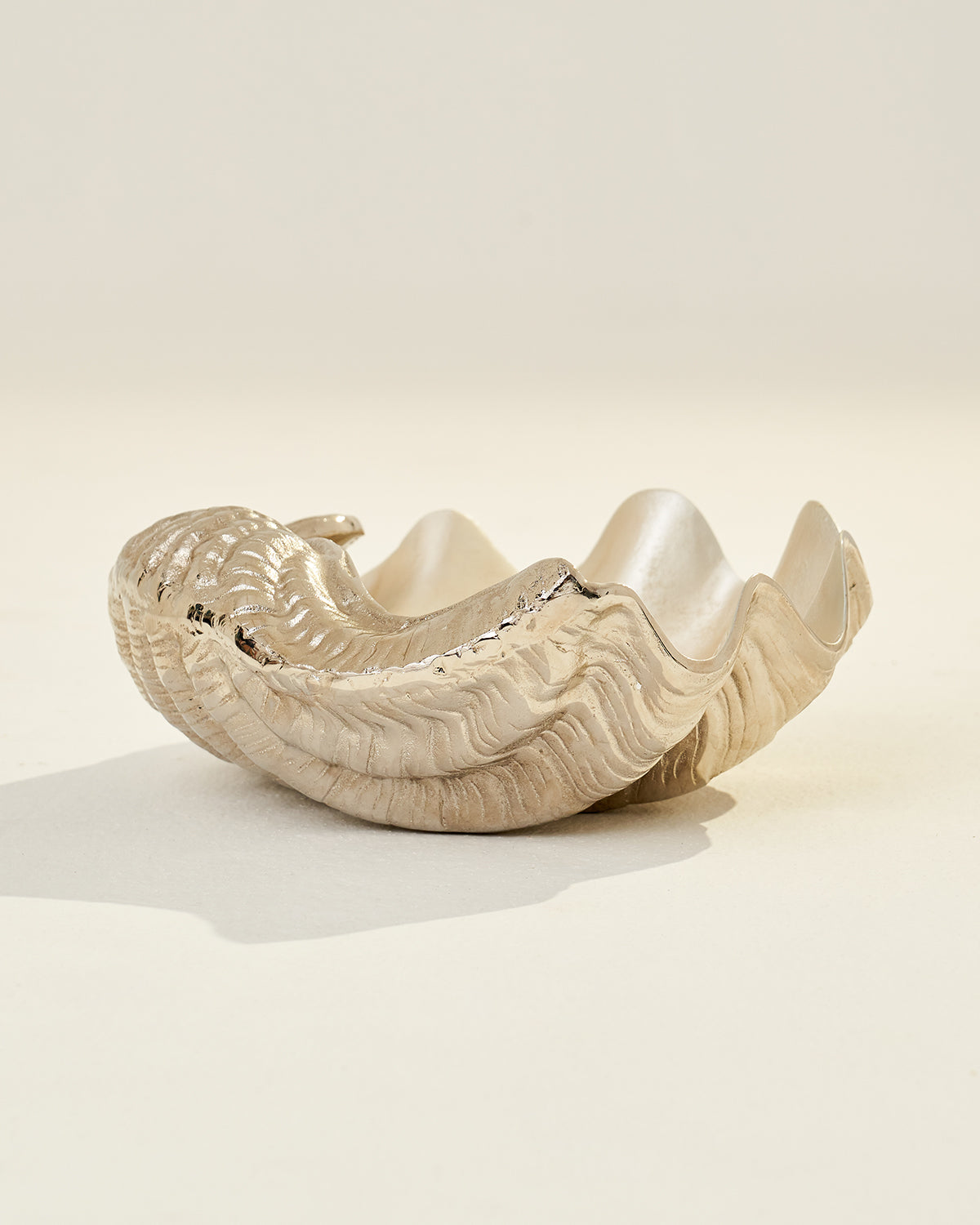 Seashell